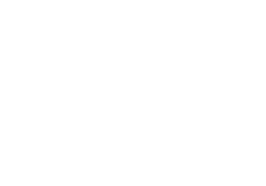 Paluka logo